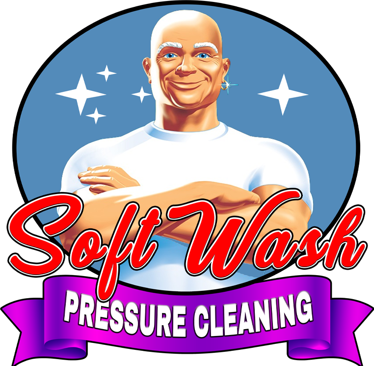 Mr. Clean Pressure Softwash